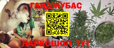 стаф Донецк