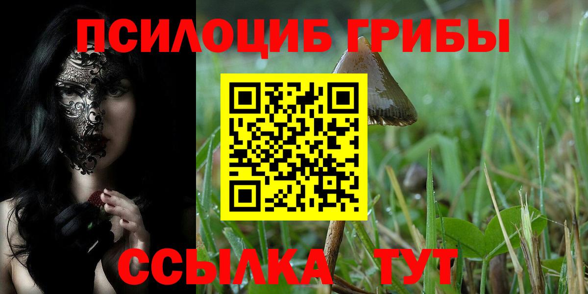 Старый Оскол  Галлюциногенные грибы Psilocybine cubensis  Вход с VPN 