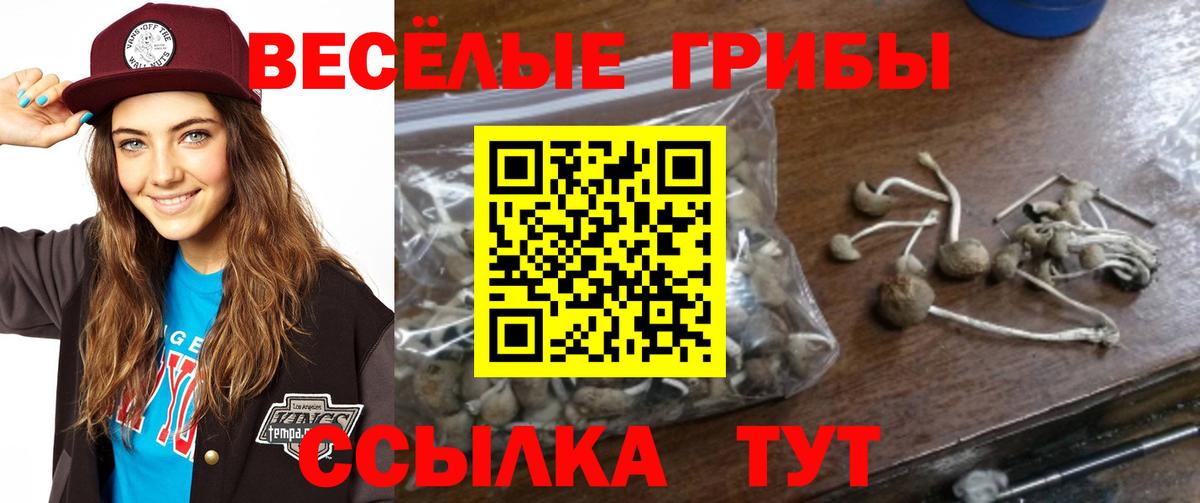Галлюциногенные грибы MAGIC MUSHROOMS Старый Оскол